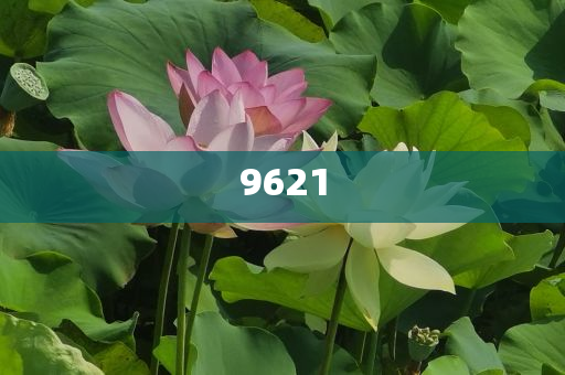 質(zhì)疑:紅老頭事件已核實(shí)237人身份系謠言趣味釋義、專家解析解釋與落實(shí)?,拒絕虛假渲染陷阱