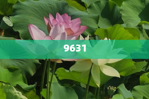 李佳薇回應(yīng)網(wǎng)友挑戰(zhàn)別再叫我動(dòng)態(tài)解答、解釋與落實(shí)-留心欺騙承諾危害